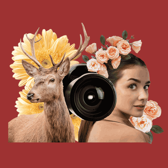 Photography from wild to beauty