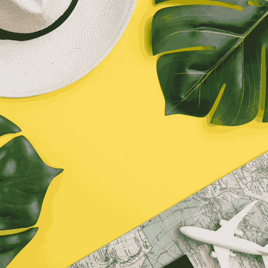 Social Media Management banner